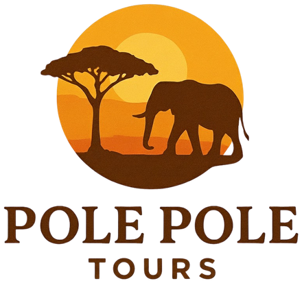 Pole Pole Tours